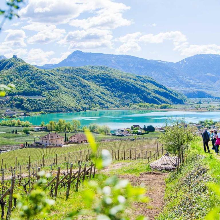 Micheli Hermann Obst- und Weinbauernhof mit "Südtirol Alto Adige Guest Pass - Mobilcard" - Doppelzimmer - 15