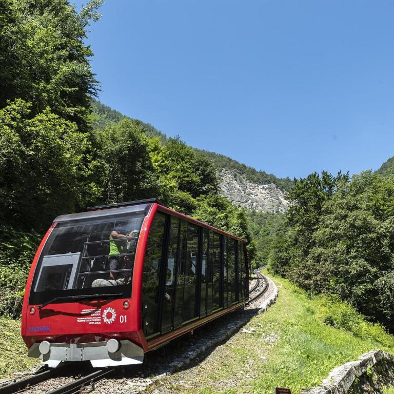 Micheli Hermann Obst- und Weinbauernhof mit "Südtirol Alto Adige Guest Pass - Mobilcard" - Doppelzimmer - 16