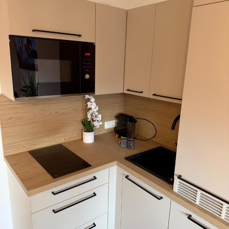 Blickpunkt Aussee - Appartement 2 Chambres avec Balcon et Terrasse - 26