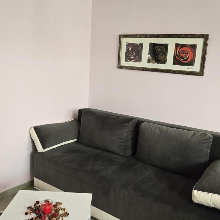 Apartment Bohemian Rhapsody - One-Bedroom Apartment with Balcony - 16