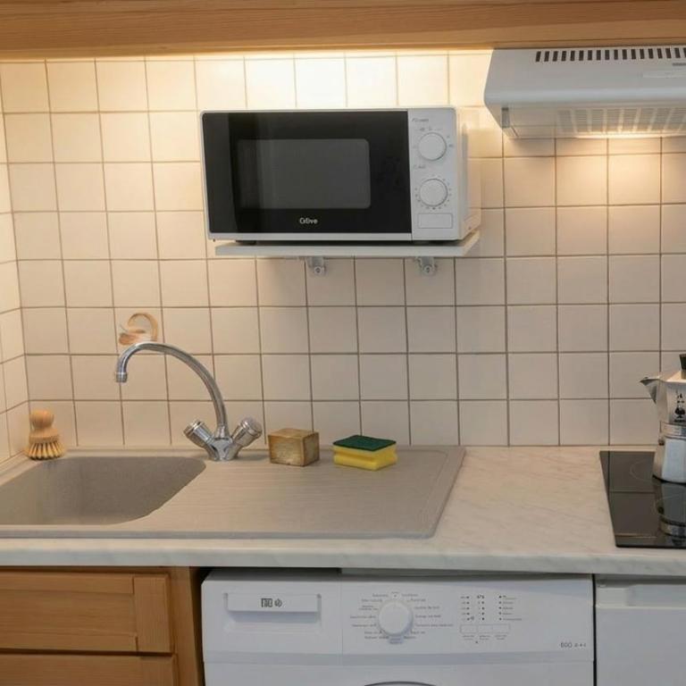 Les Morèses - Appartement 1 Chambre - 13
