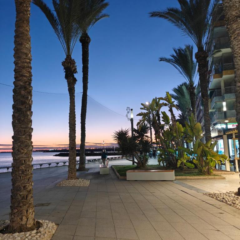 Sol y Mar Escape Bergantin - Apartamento de 2 dormitorios - 39