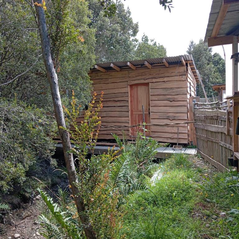 Sueños en el bosque - One-Bedroom House - 2