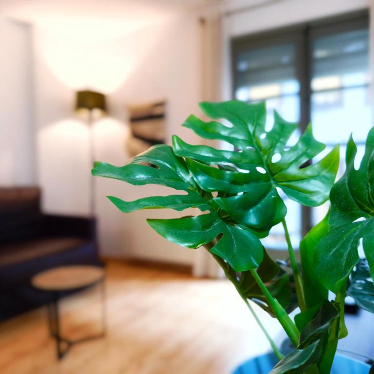 Lugar perfecto en el Casco Antiguo de Girona - Apartamento de 2 dormitorios - 7