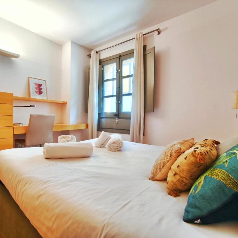Lugar perfecto en el Casco Antiguo de Girona - Apartamento de 2 dormitorios - 13