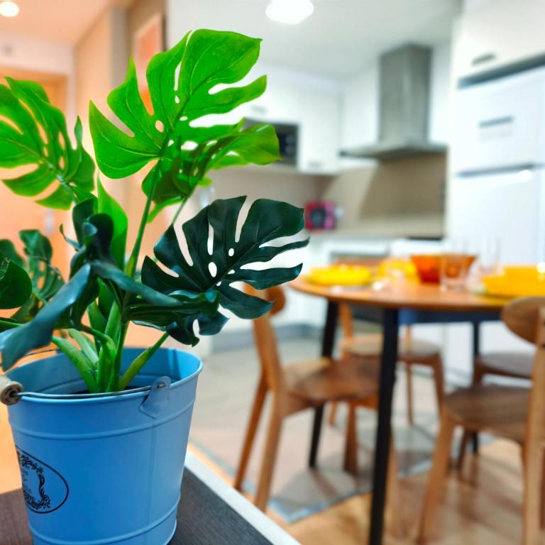 Lugar perfecto en el Casco Antiguo de Girona - Apartamento de 2 dormitorios - 17