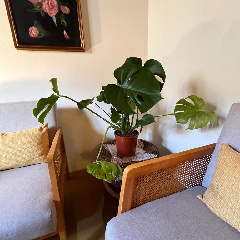 Cavour 66 Apartment - Appartement 1 Chambre - 19