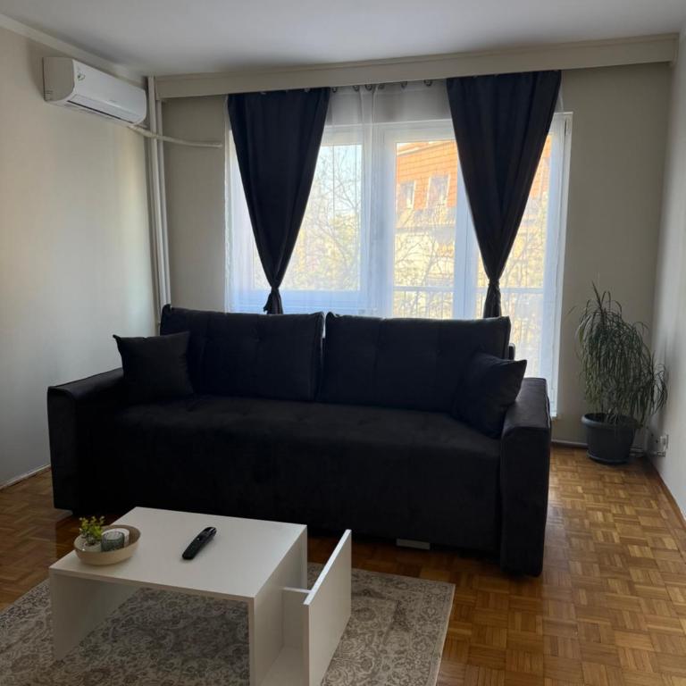 Kraljevacka 90 - Apartment - 2