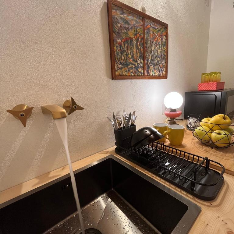 Cavour 66 Apartment - Appartement 1 Chambre - 30