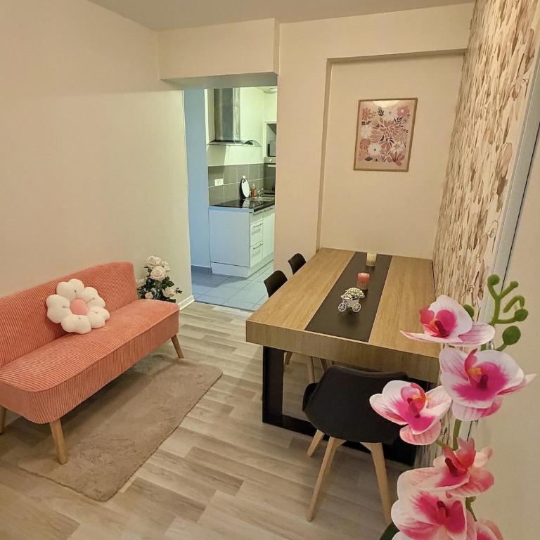 Charmant Studio, T2 ou T3 au coeur de la ville - Appartamento con 1 Camera da Letto - 3