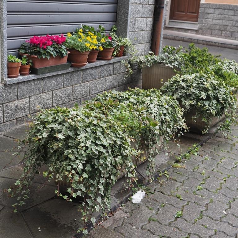 La Casa di Margherita - Appartamento con 2 Camere da Letto - 25