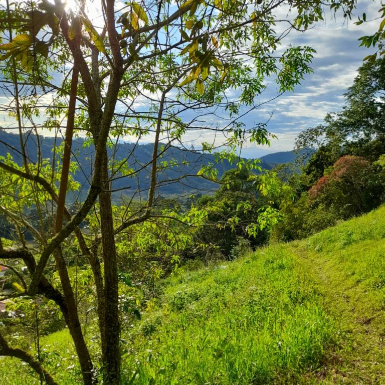 Casa rural El Encanto Guaduas - Four-Bedroom House - 25