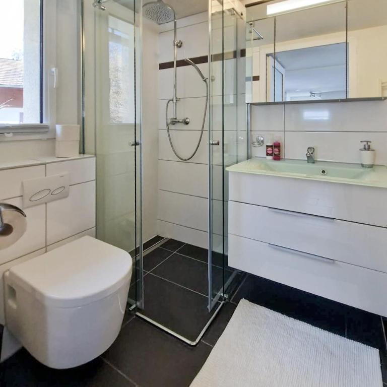 Chalet Bellevue Beautiful Waterfall view private Garden & free parking - Apartment mit 1 Schlafzimmer - 15