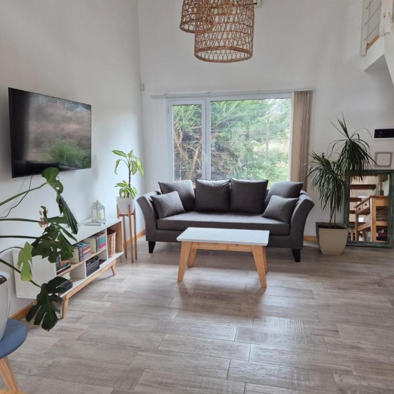 Lo que tenga que ser - One-Bedroom Apartment - 11