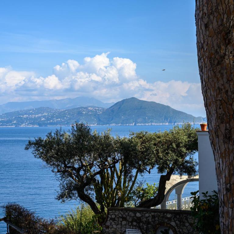 Il Quadrifoglio - Sea View Terrace - Appartamento con 1 Camera da Letto e Vista Mare - 1