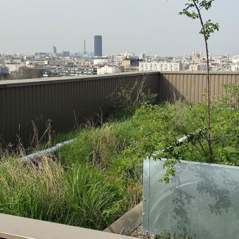 Rooftop Duplex with terrace overlooking the Eiffel Tower - Appartement 3 Chambres - 45