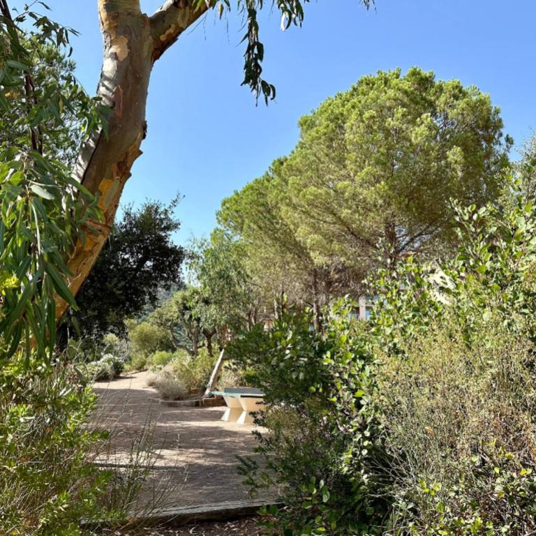 Appartement 2 à 4 pers, piscine, vue mer aux Issambres - Appartement 1 Chambre - 17