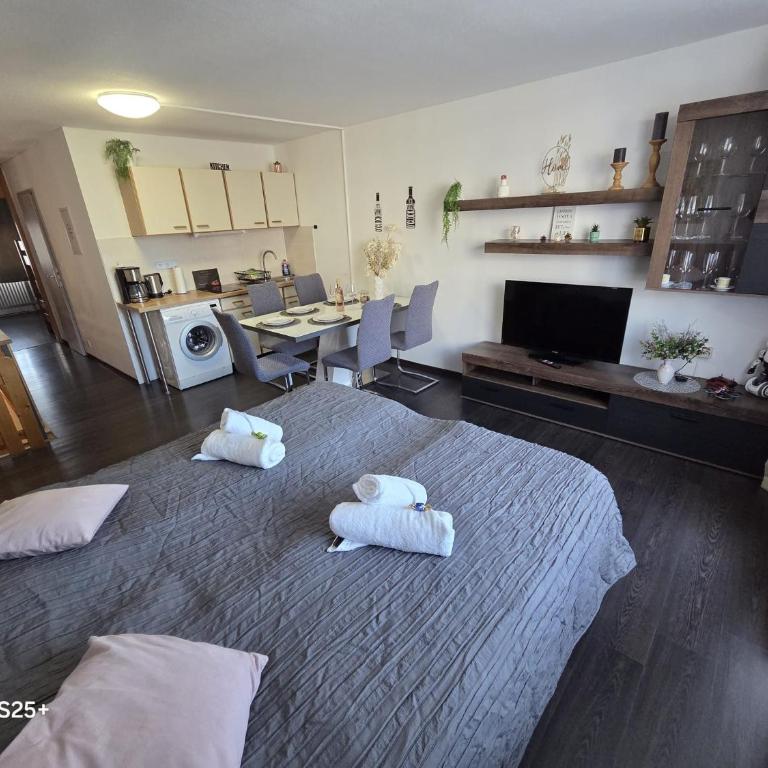 Ferienwohnung Falkennest - Appartement 2 Chambres - 23
