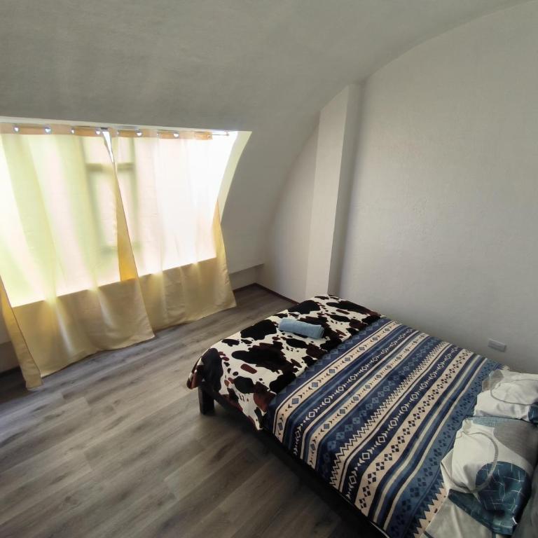 Alojamiento lindo y acogedor - Four-Room Apartment - 2