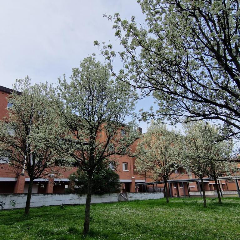 Fieranest Bologna - One-Bedroom Apartment - 42