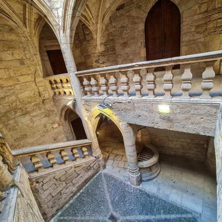 Jungle Spa - Cocon tropical et romantique avec balnéo en plein coeur de Pézenas ! - Appartement 1 Chambre - 34