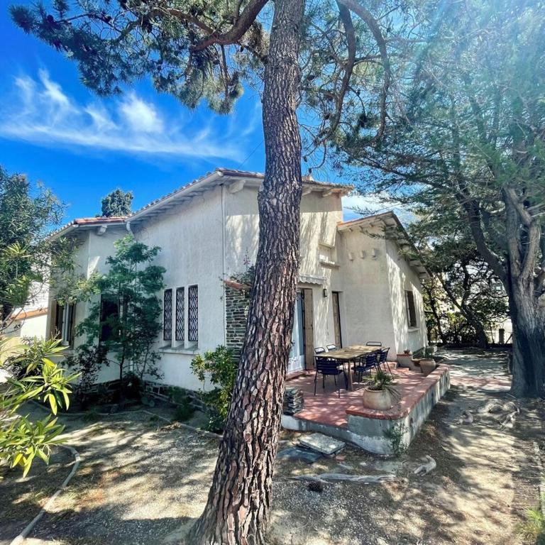 Villa les Pins - Six-Bedroom House - 1