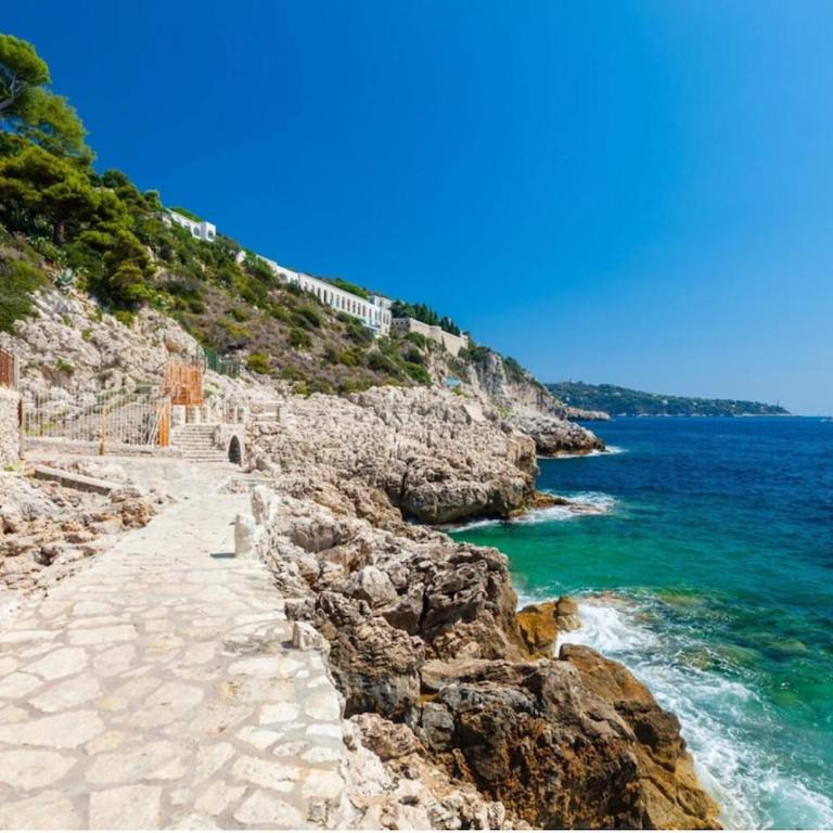 Appartement en bord de mer - Nice zone piétonne - Appartement 1 Chambre - 25
