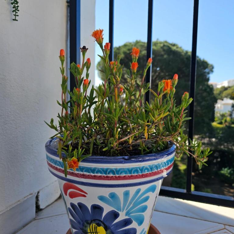Sunny 1 bedroom in Monte B , Mijas Miraflores - Apartamento de 1 dormitorio - 22
