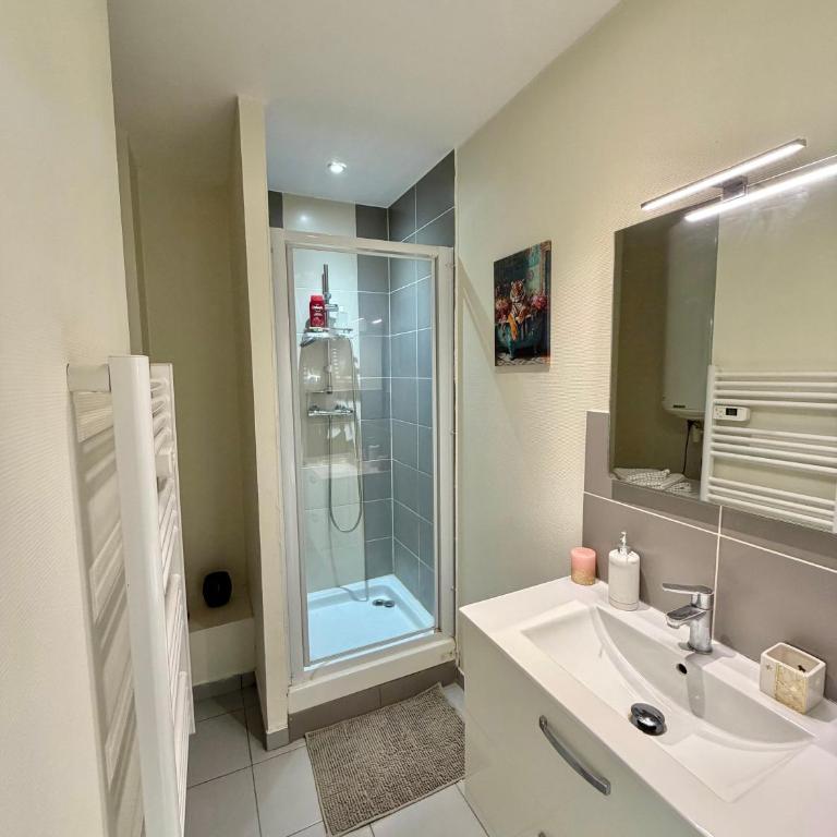 Charmant Studio, T2 ou T3 au coeur de la ville - Appartamento con 1 Camera da Letto - 6