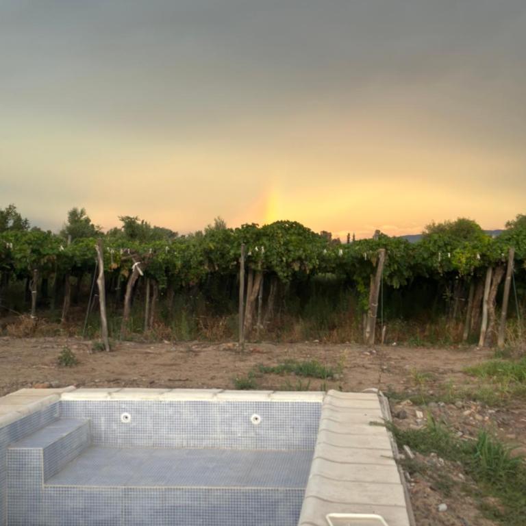 Cabañas Finca Don Tulio - Valle de Ullum - Chalet de 2 dormitorios - 15