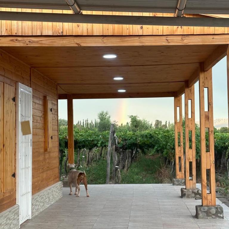 Cabañas Finca Don Tulio - Valle de Ullum - Chalet de 2 dormitorios - 21