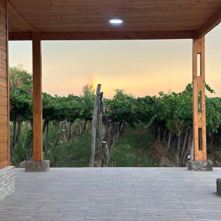 Cabañas Finca Don Tulio - Valle de Ullum - Chalet de 2 dormitorios - 43