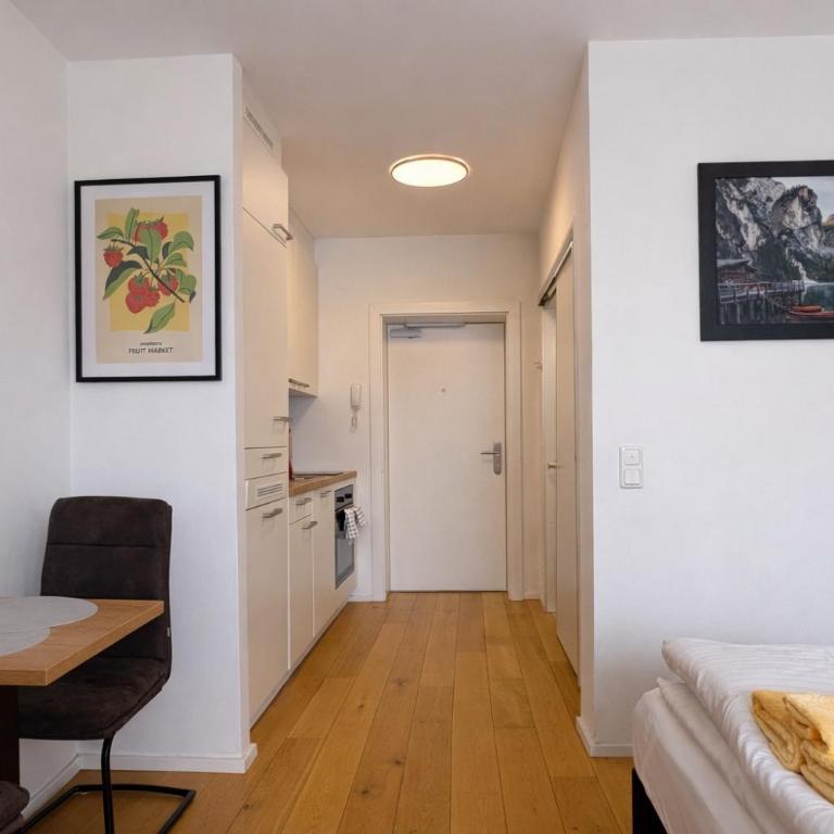 Modern Danube Suite - 3 Min to Hauptplatz - Netflix - Apartment mit 1 Schlafzimmer - 6
