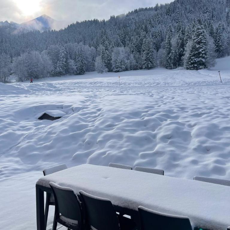 La Clusaz Ski aux pieds et randonnées - Chalet - 17