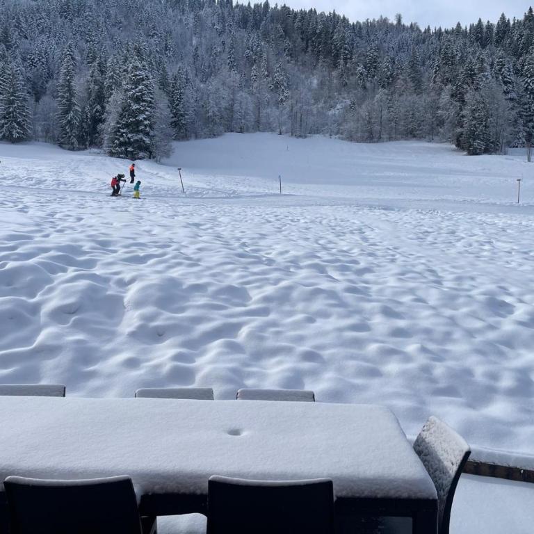 La Clusaz Ski aux pieds et randonnées - Chalet - 16