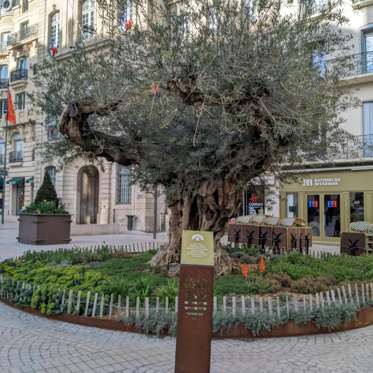 Tiny House 1, 2 ou 3 personnes SoeursGrises Béziers Centre Historique coeur de l'Hérault Occitanie, plus vieille ville de France, chemin de Compostelle à pied ou velo, passeport du pèlerin 24h, petits dejeuners et repas, 300m du centre ville - Maison 2 Chambres - 3