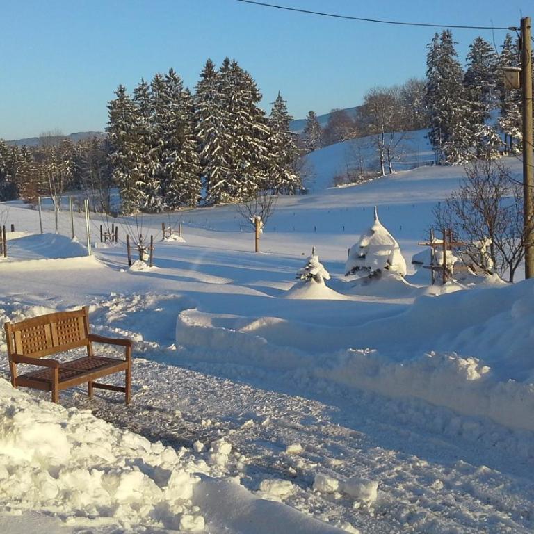 Haus Alpenhof - Apartment mit Blick auf die Berge - 6