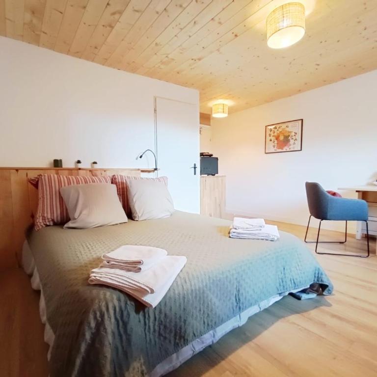 La tournette - Sur la route d'Annecy - Appartement 1 Chambre - 1