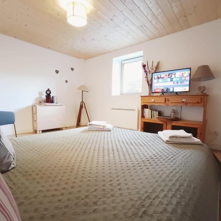 La tournette - Sur la route d'Annecy - Appartement 1 Chambre - 16