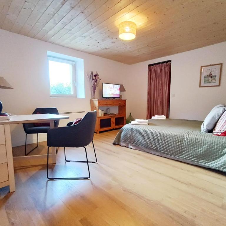 La tournette - Sur la route d'Annecy - Appartement 1 Chambre - 14