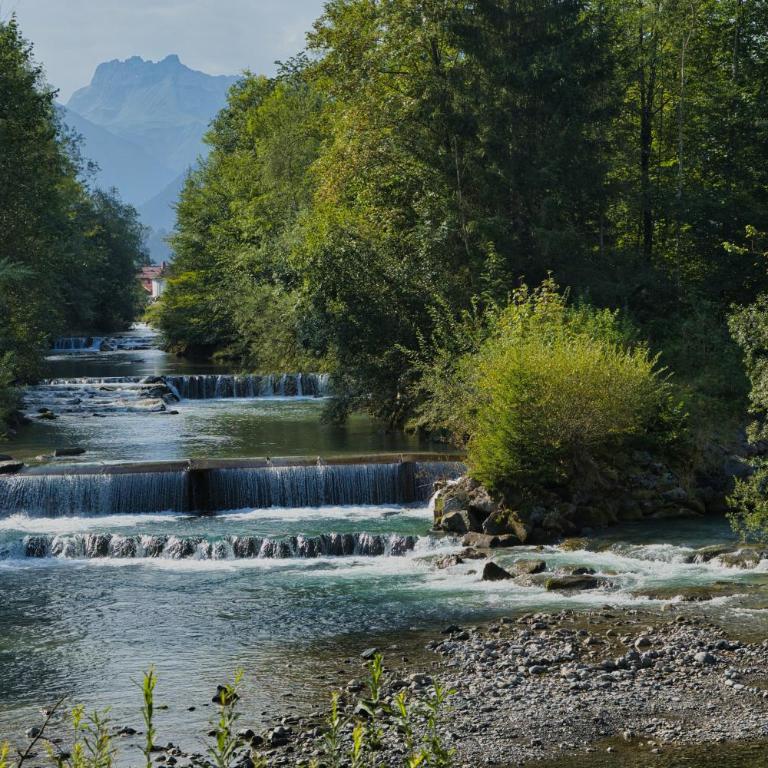 FeWo-Bergromantik mit Sauna, Pool und kostenlosen Sommerbergbahntickets - Apartment mit 1 Schlafzimmer - 22