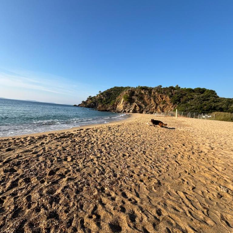 Villa Aquavit - Villa with Private Pool - 40