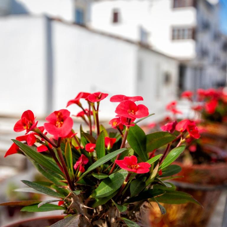 Estepona Inn beautiful apartment very central - Apartamento de 2 dormitorios - 22