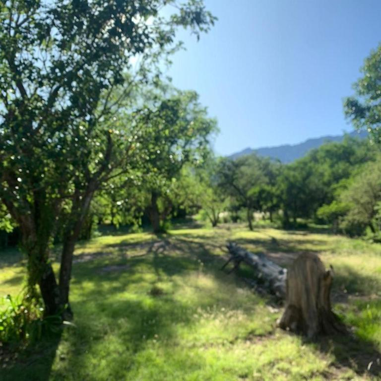 Las Gracias - Casa de 2 dormitorios - 12