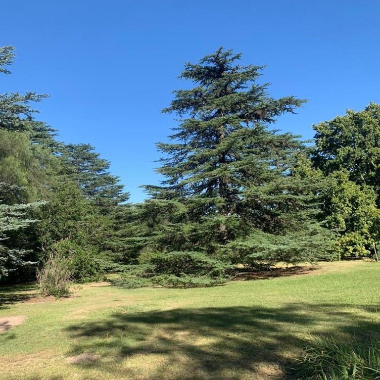 Las Gracias - Casa de 3 dormitorios - 18