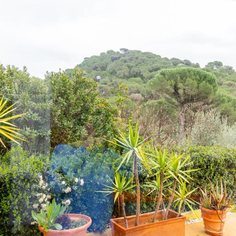 Villa Sueños - Casa de 3 dormitorios - 76