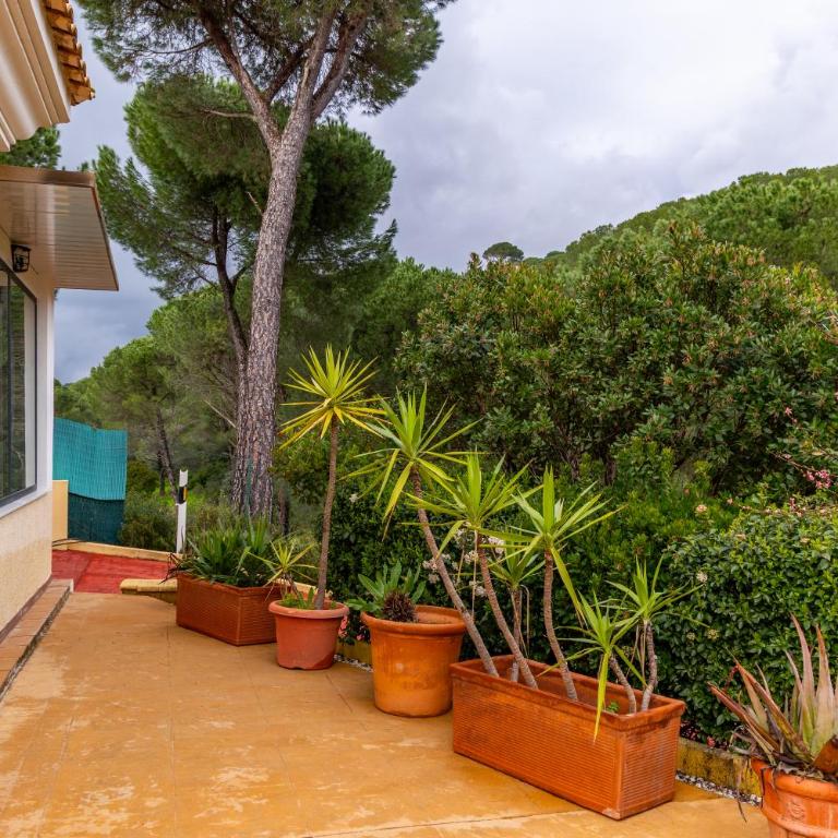 Villa Sueños - Casa de 3 dormitorios - 81