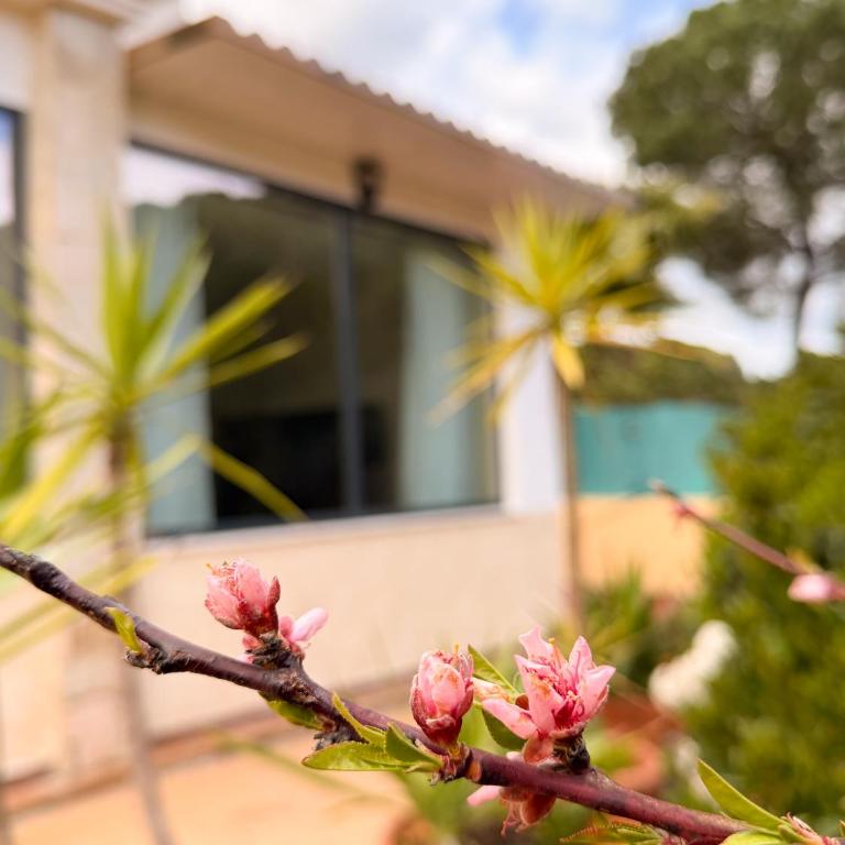 Villa Sueños - Casa de 3 dormitorios - 83