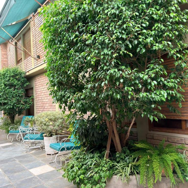 Hotel Villa Inés Mendoza - Single Room - 8