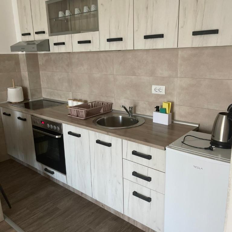 Apartmani Milić Banja Koviljača - Apartman sa 1 Spavaćom Sobom - 40